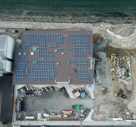 WG-Sustainability-Thumbnail