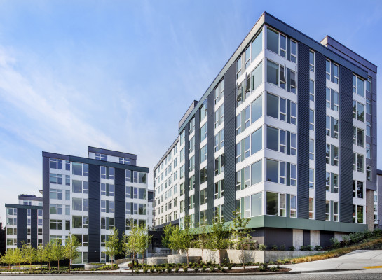 THUMBNAIL - Wayfarer